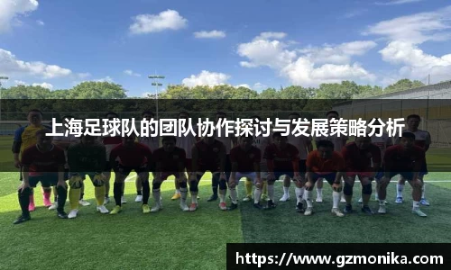 上海足球队的团队协作探讨与发展策略分析